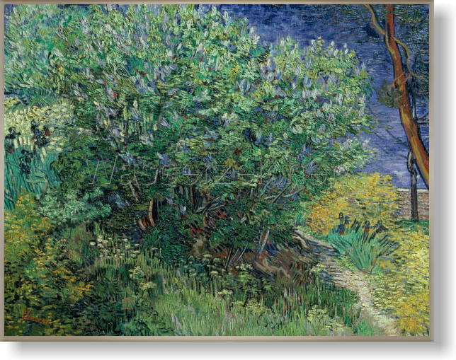 ゴッホ ライラックの茂み 1889